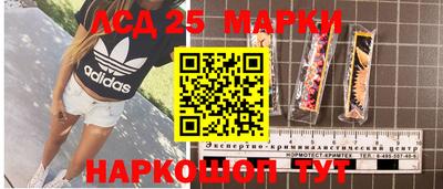 стаф Будённовск