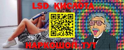 стаф Будённовск